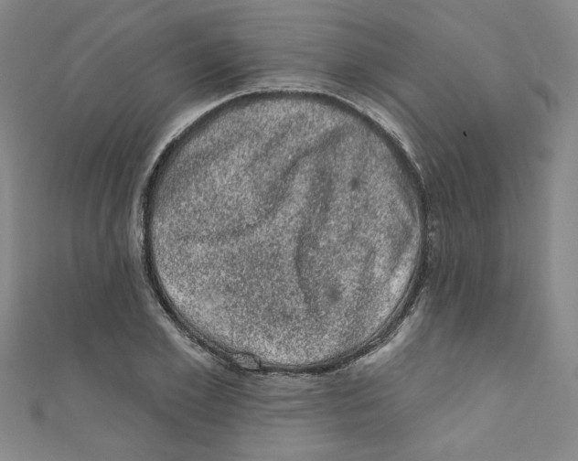 X0000110940981200907171604