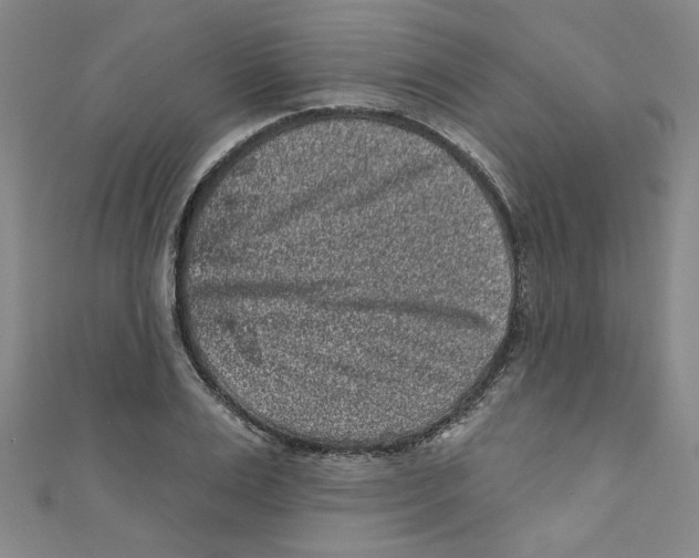 X0000110940983200907171604