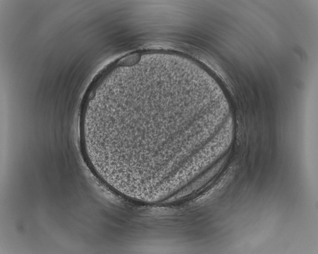 X0000110940984200907171604