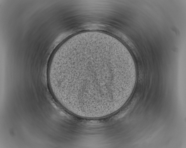 X0000110940986200907171604