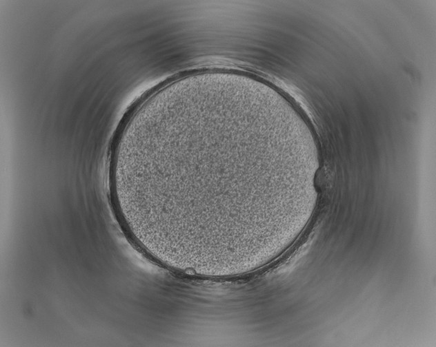 X0000110940987200907171604