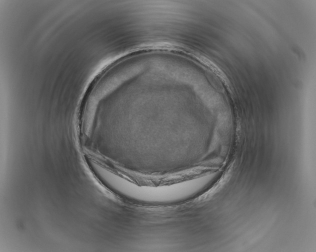 X0000110940989200907171604