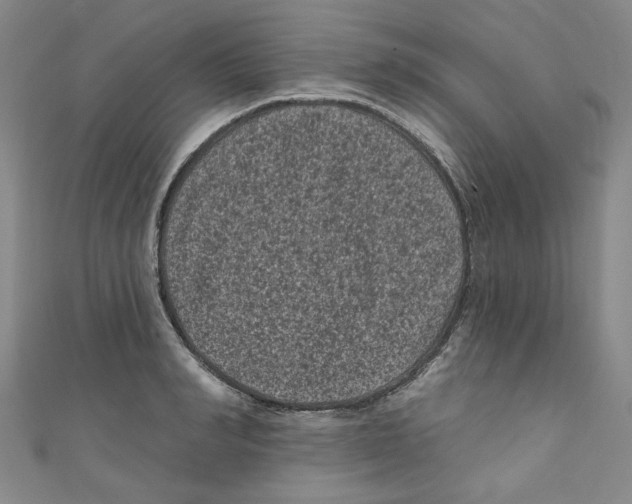 X0000110940990200907171604