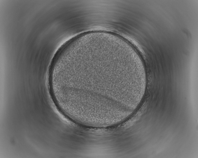 X0000110940991200907171604