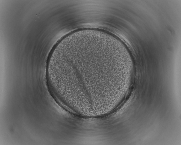 X0000110940992200907171604