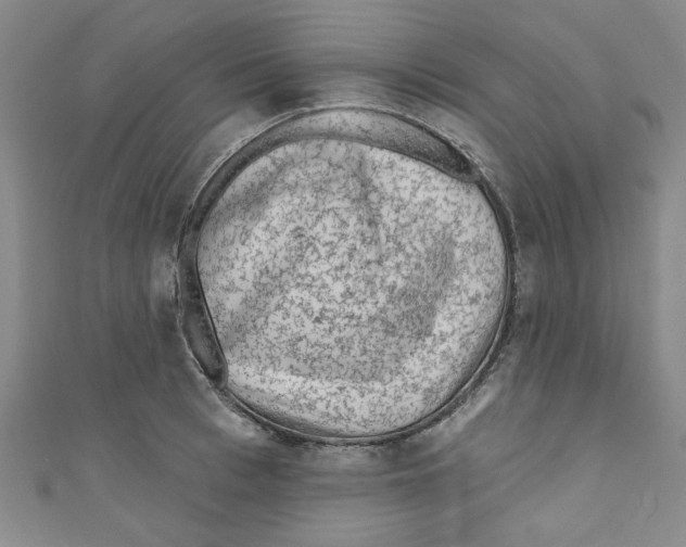 X0000110940993200907171604