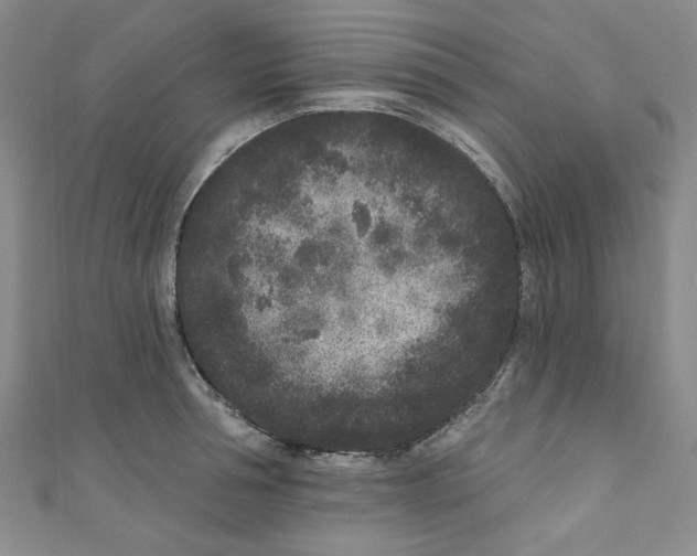 X0000110940994200907171604