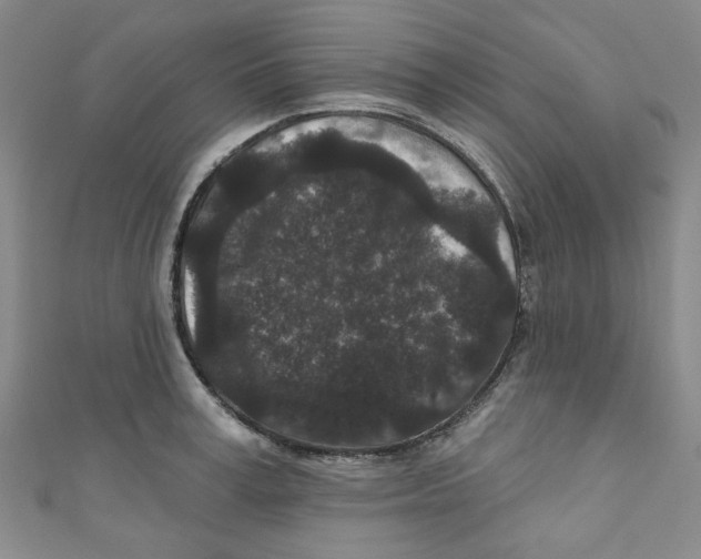 X0000110940995200907171604