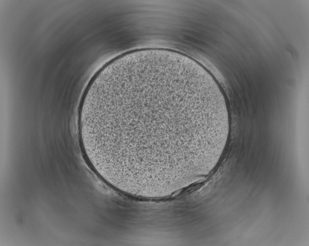 X0000110940996200907171604