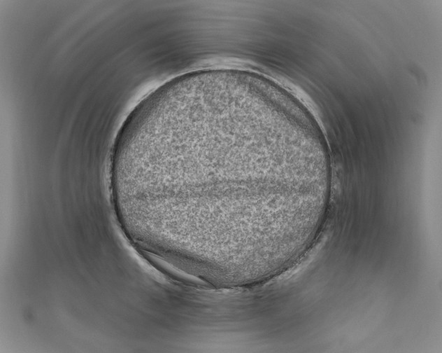 X0000110940997200907171604