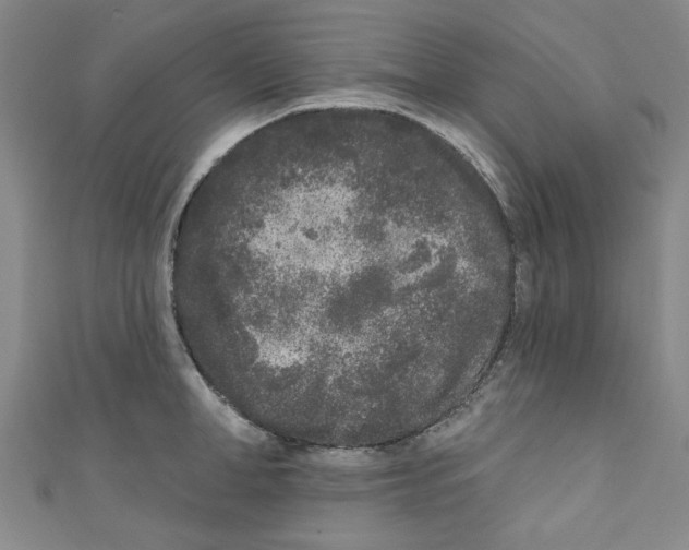 X0000110940998200907171604