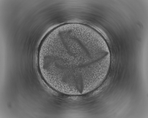 X0000110941000200907171604