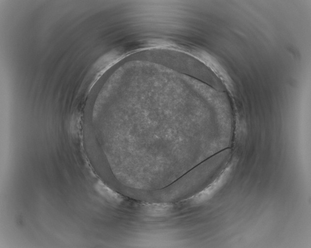 X0000110941001200907171604
