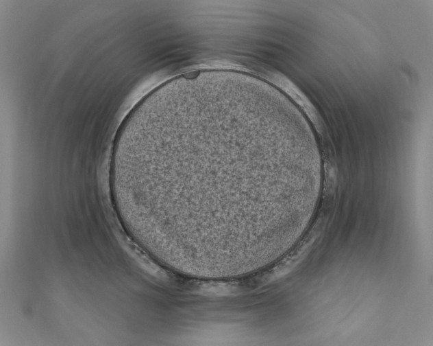 X0000110941002200907171604
