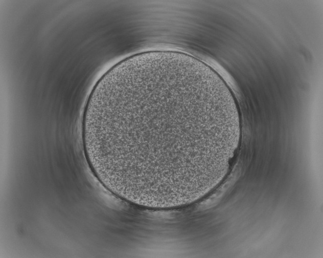 X0000110941004200907171604