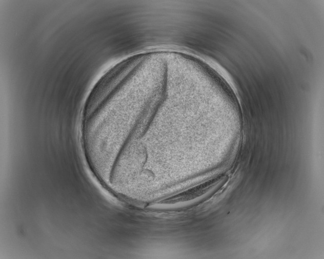 X0000110941005200907171604