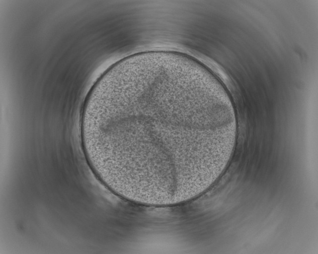 X0000110941006200907171604