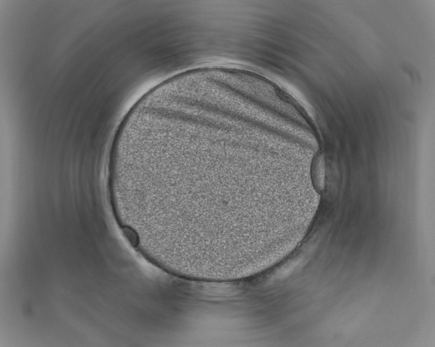 X0000110941007200907171604