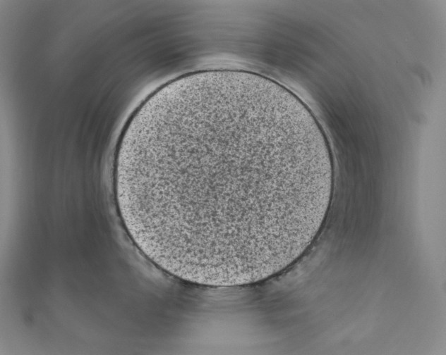 X0000110941008200907171604
