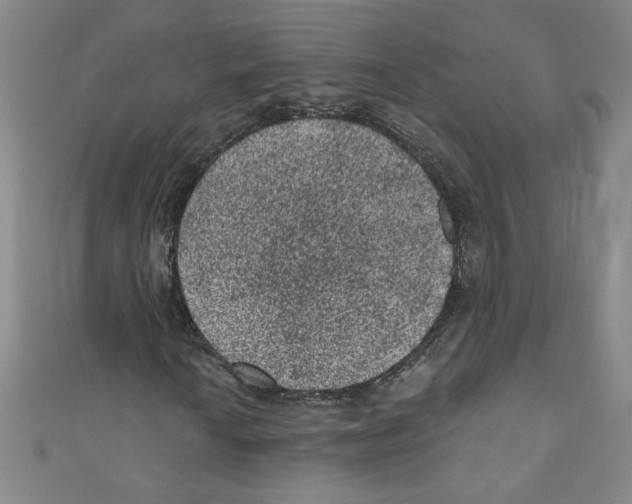 X0000110941010200907171603