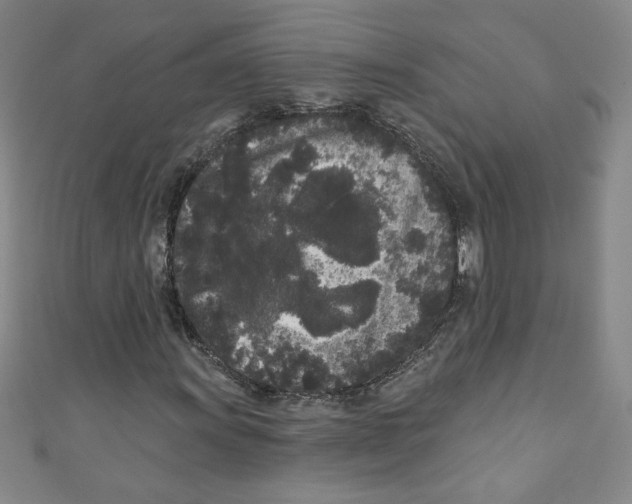 X0000110941011200907171603