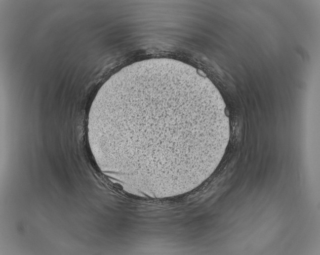 X0000110941012200907171603