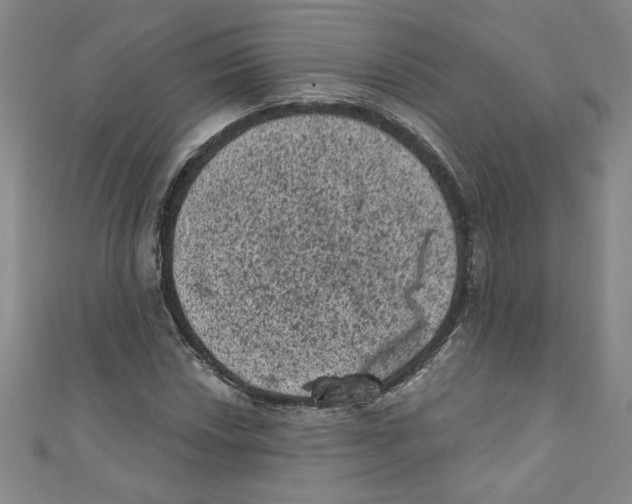 X0000110941018200907171603