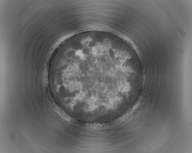 X0000110941019200907171603