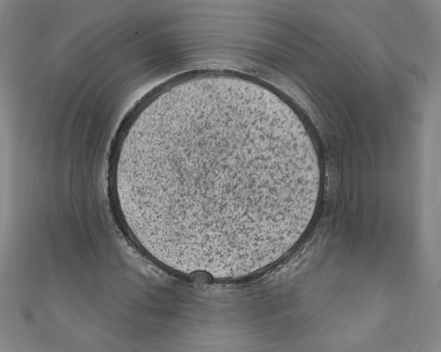 X0000110941020200907171604