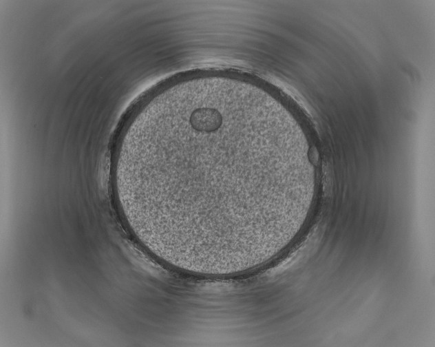 X0000110941021200907171604