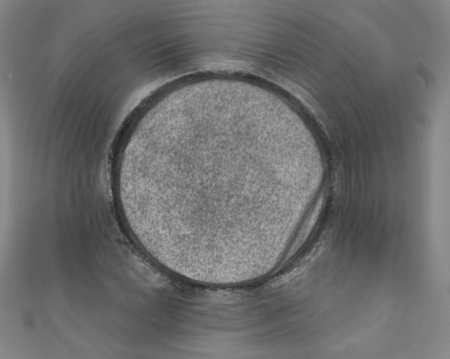 X0000110941022200907171604