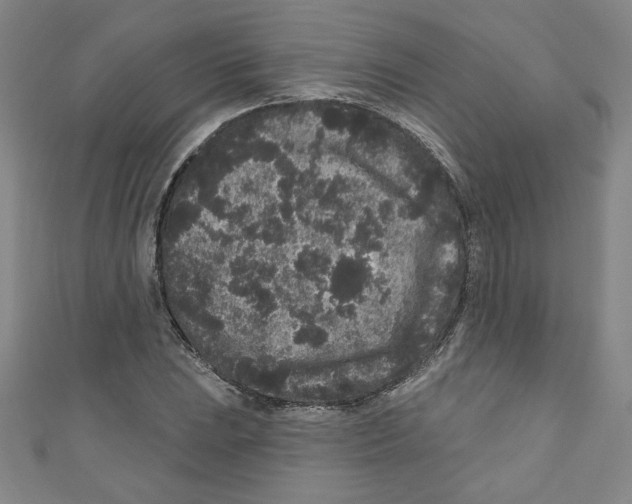 X0000110941023200907171604