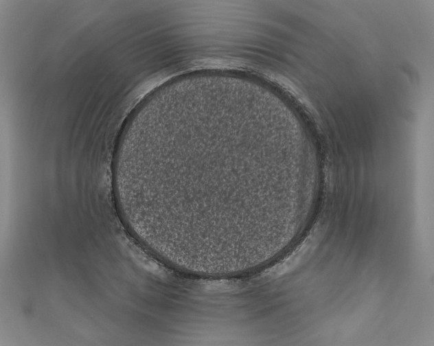 X0000110941025200907171604