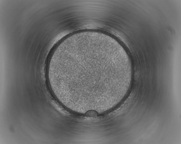 X0000110941026200907171604