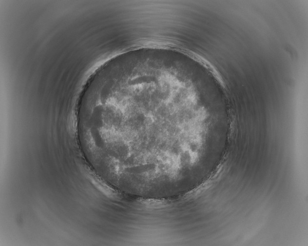 X0000110941027200907171604