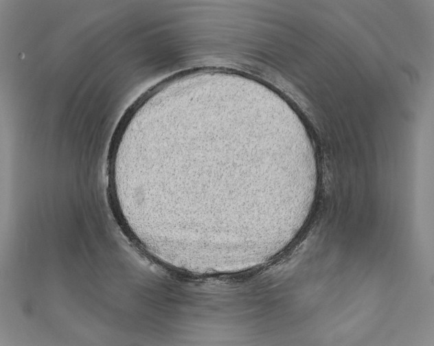 X0000110941028200907171604