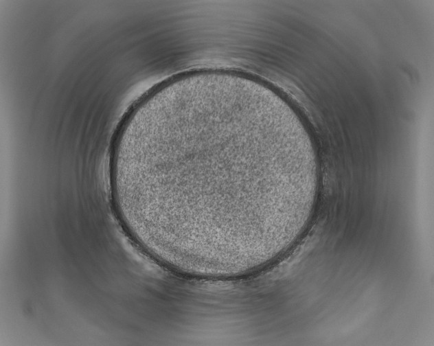 X0000110941030200907171604