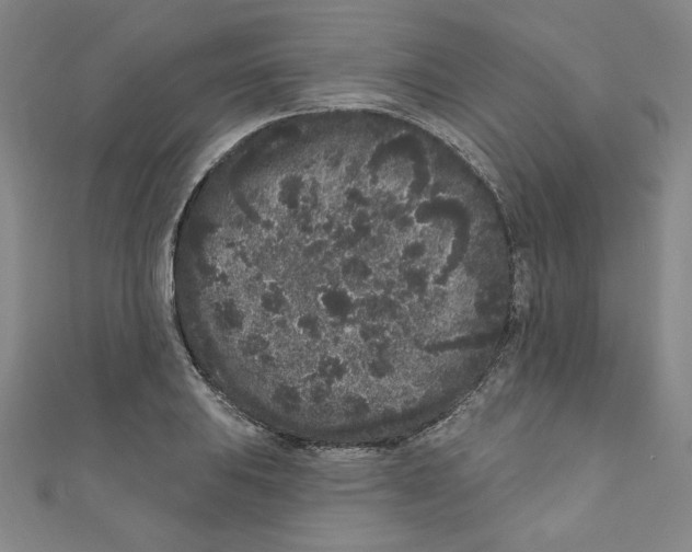 X0000110941031200907171604