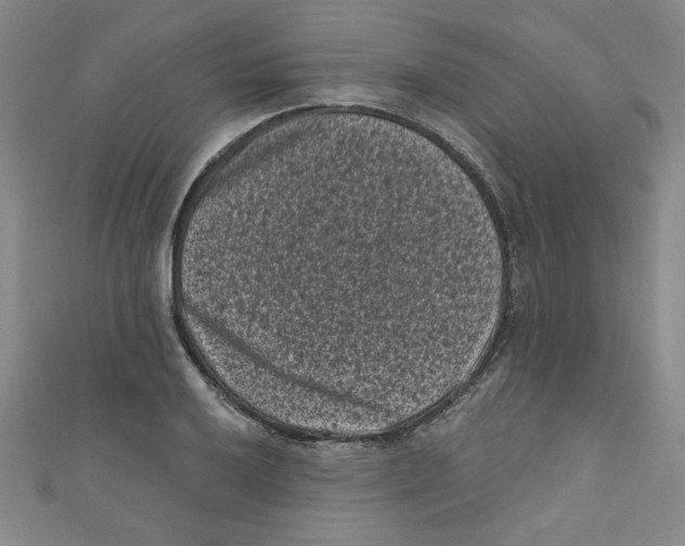 X0000110941032200907171604