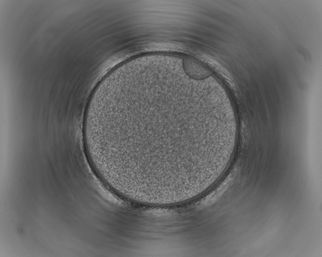 X0000110941033200907171604