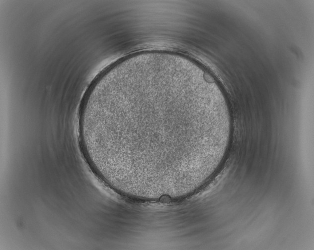X0000110941034200907171604