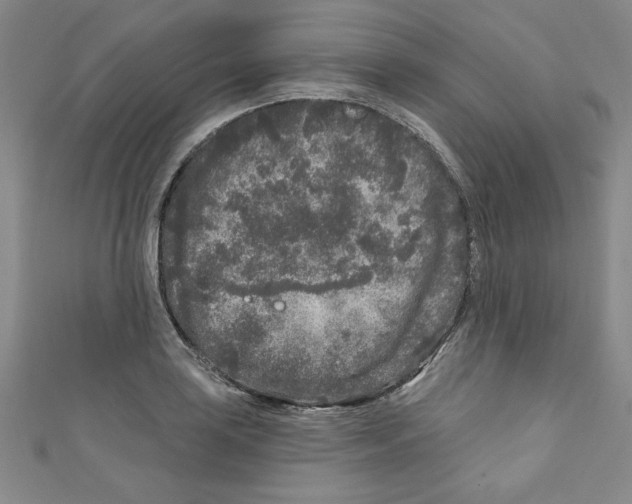 X0000110941035200907171604
