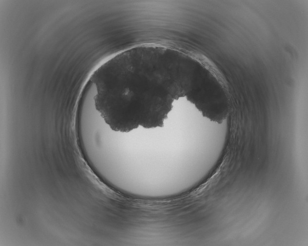 X0000110941036200907171604
