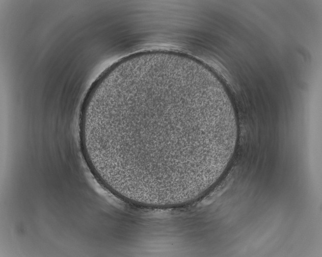 X0000110941038200907171604