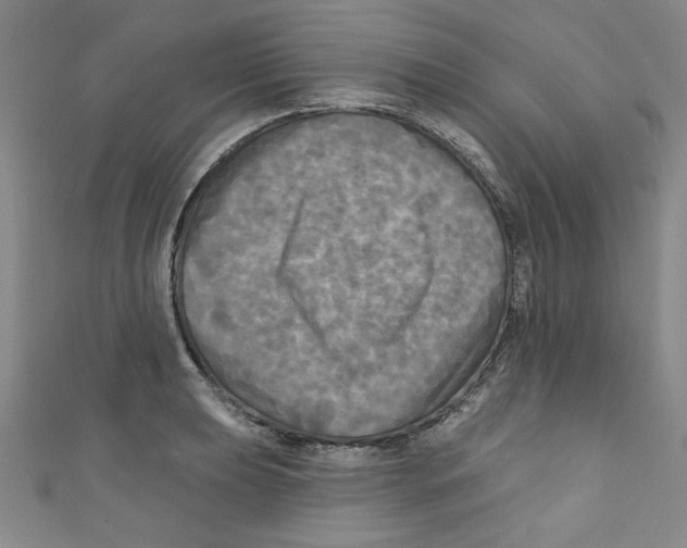 X0000110941039200907171604