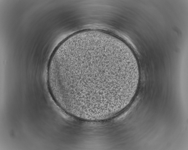 X0000110941040200907171604