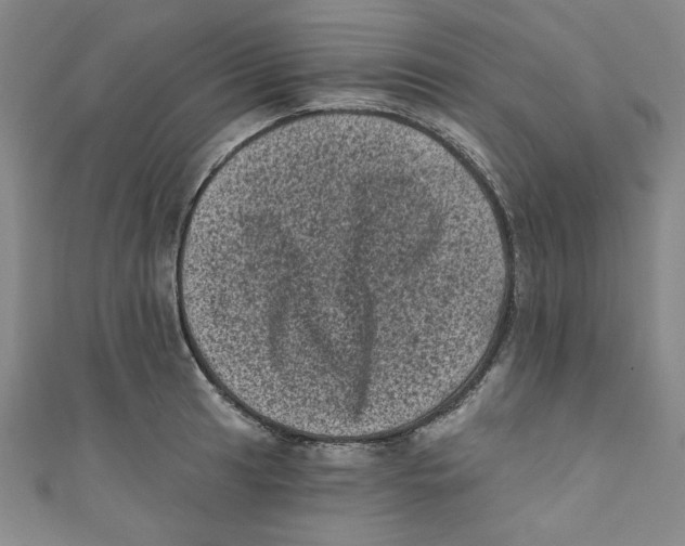 X0000110941041200907171604