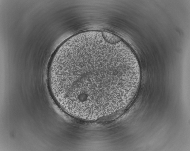 X0000110941042200907171604