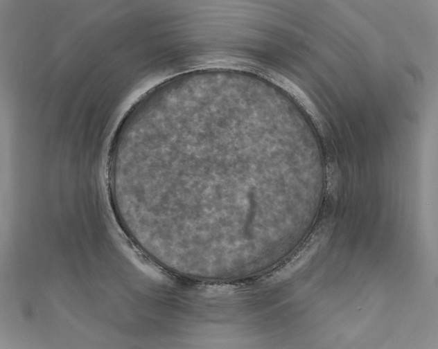 X0000110941043200907171604