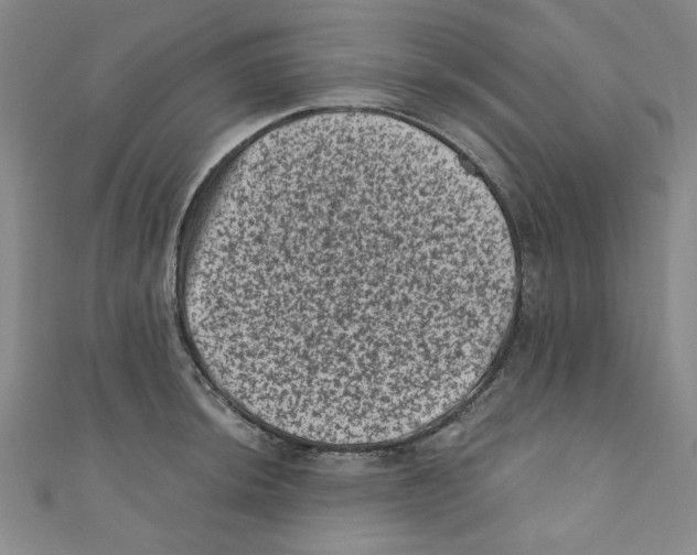 X0000110941044200907171604